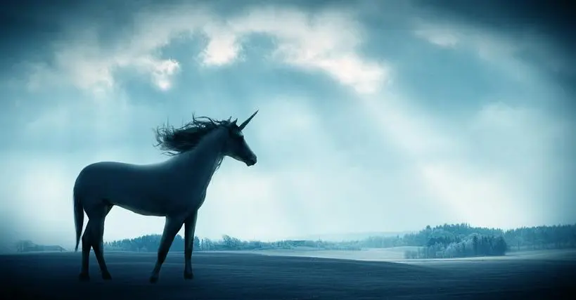 The Truth About Unicorns And “Buying What You Know”